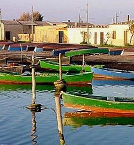 Movimento decrescita felice, giornata per pulire Marceddì 