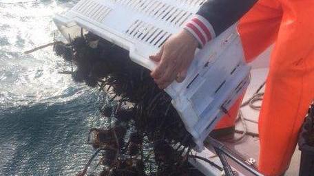 Pescatore con 1500 ricci multa da quattromila euro