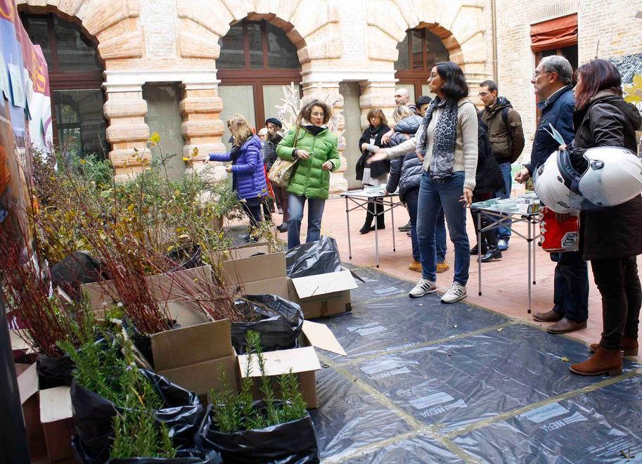 In fila ai Bagni Ducali per avere una piantina gratis 
