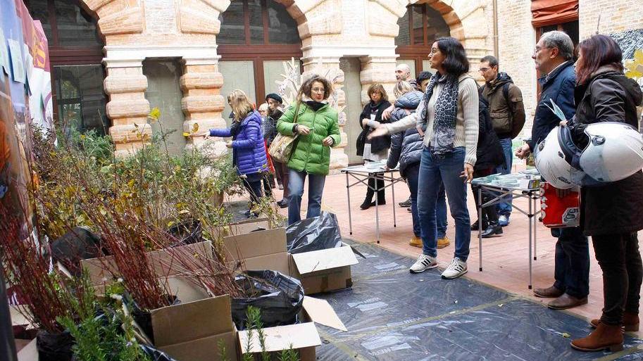 In fila ai Bagni Ducali per avere una piantina gratis