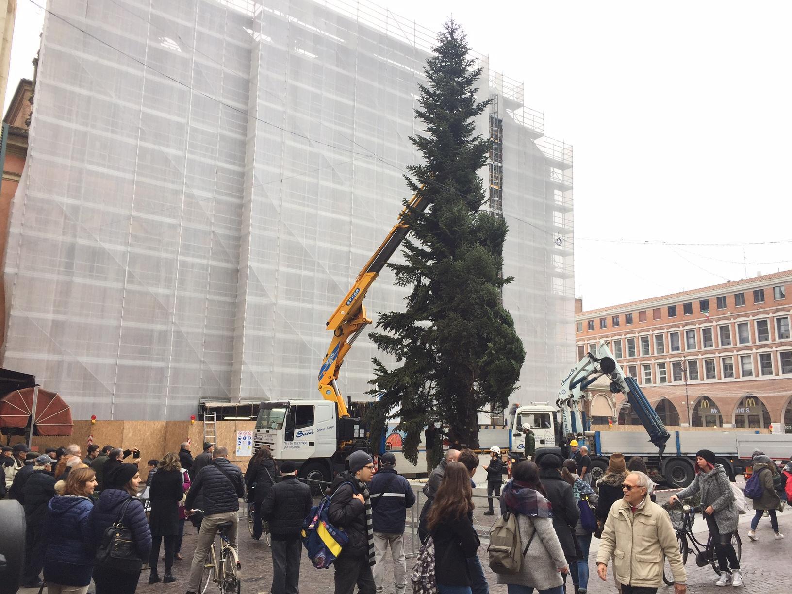 Ecco l'albero di Natale 2016