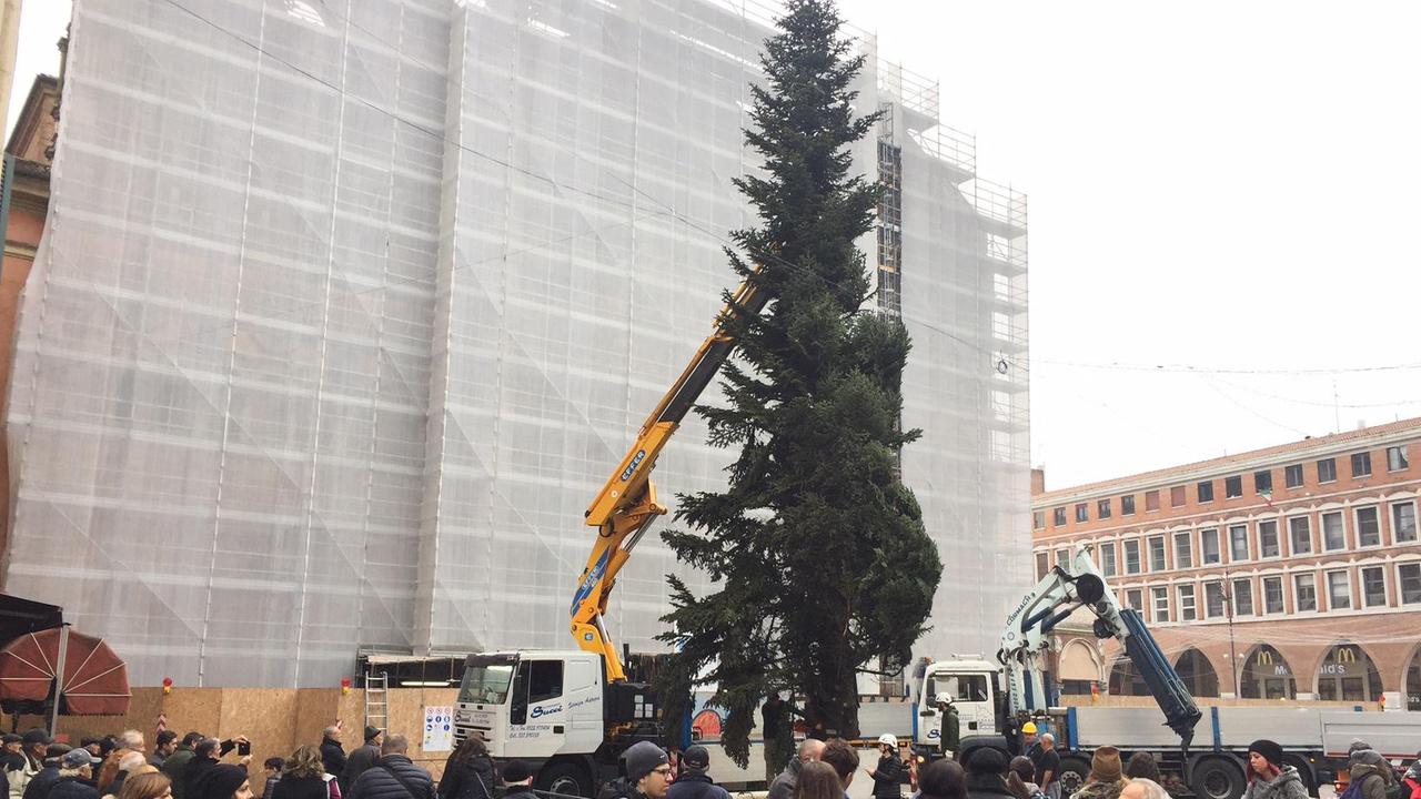 Ecco l'albero di Natale 2016