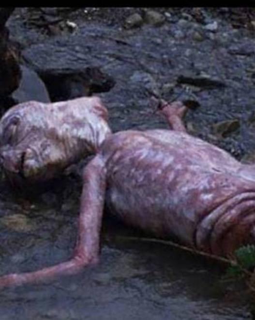 E.T, la statua nel museo Rambaldi 