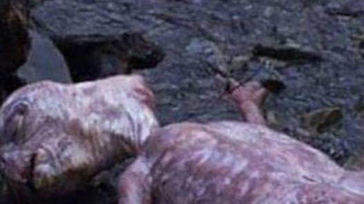E.T, la statua nel museo Rambaldi