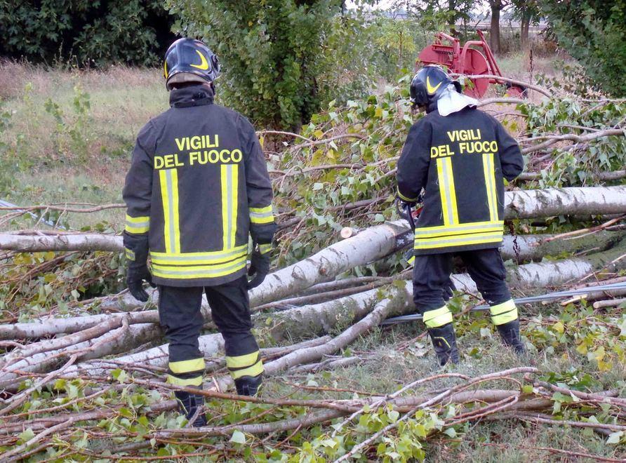 Albero cade su auto in transito: donna illesa 