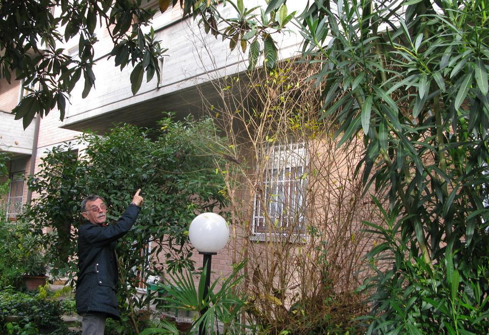 I ladri a Carpi lanciano cassaforte dal balcone 