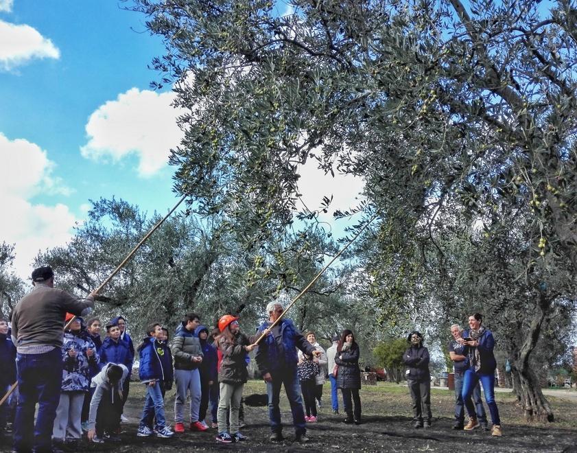 “Olivolio”, una giornata dedicata agli scolari