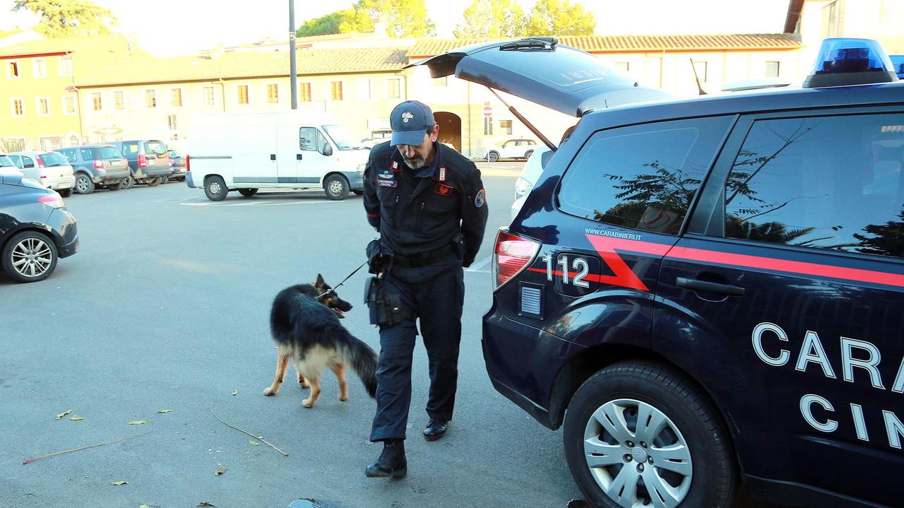 Un controllo dell'unità cinofila dei carabinieri a Empoli