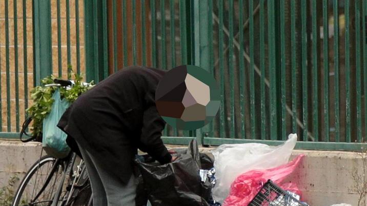 A caccia di cibo tra i rifiuti del mercato