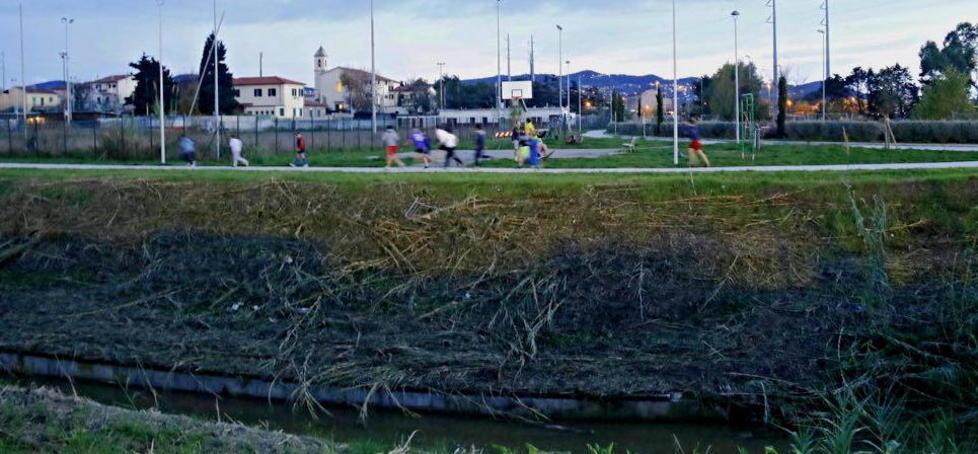 Attrezzi vandalizzati e nessuna recinzione lungo l’argine del rio 