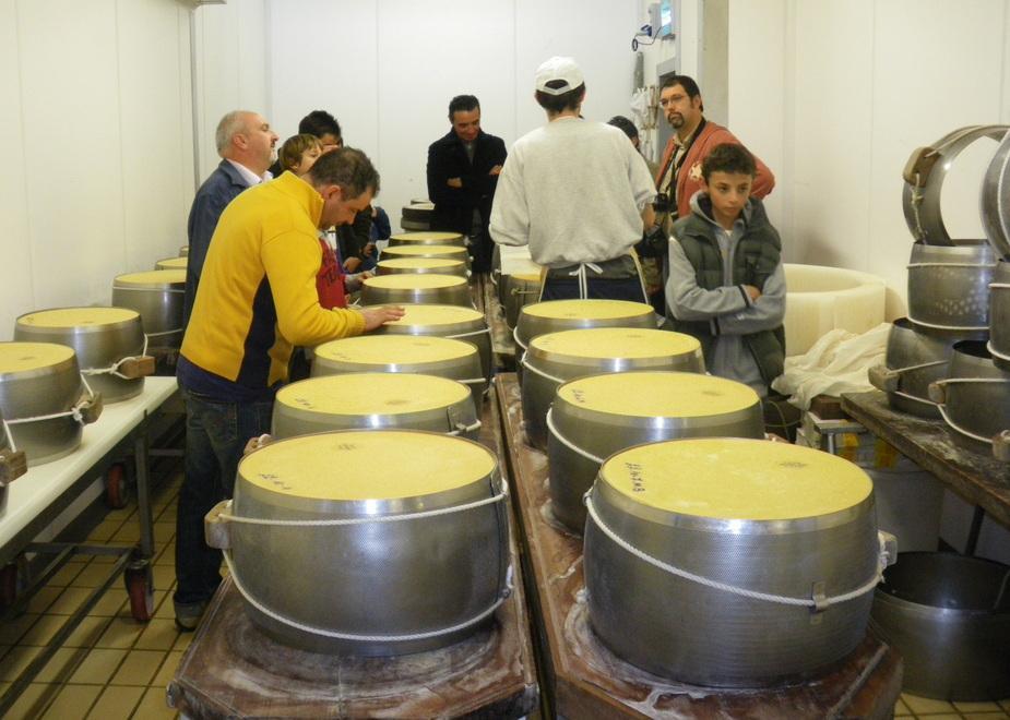 Visite guidate nella culla del Parmigiano Reggiano 