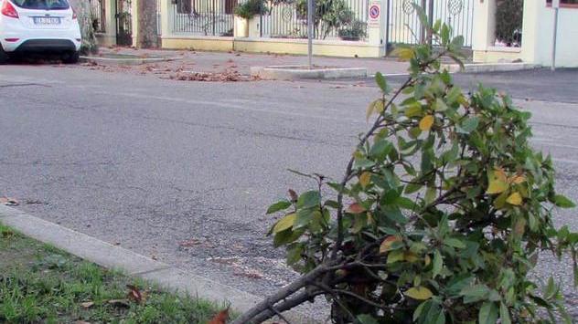 Porto Garibaldi, investita da un’auto: muore in ospedale