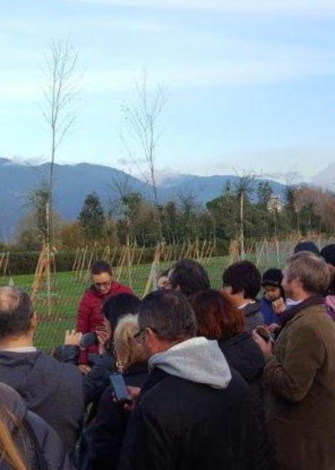 Il bosco delle Stelle con dedica ai bambini nati negli ultimi anni 