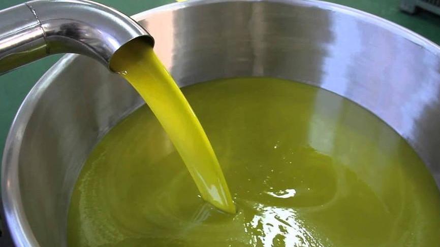 Tante iniziative alla giornata dedicata all’olio