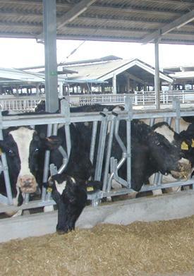 Consorzio di Bonifica conguagli contestati Monito da Arborea 