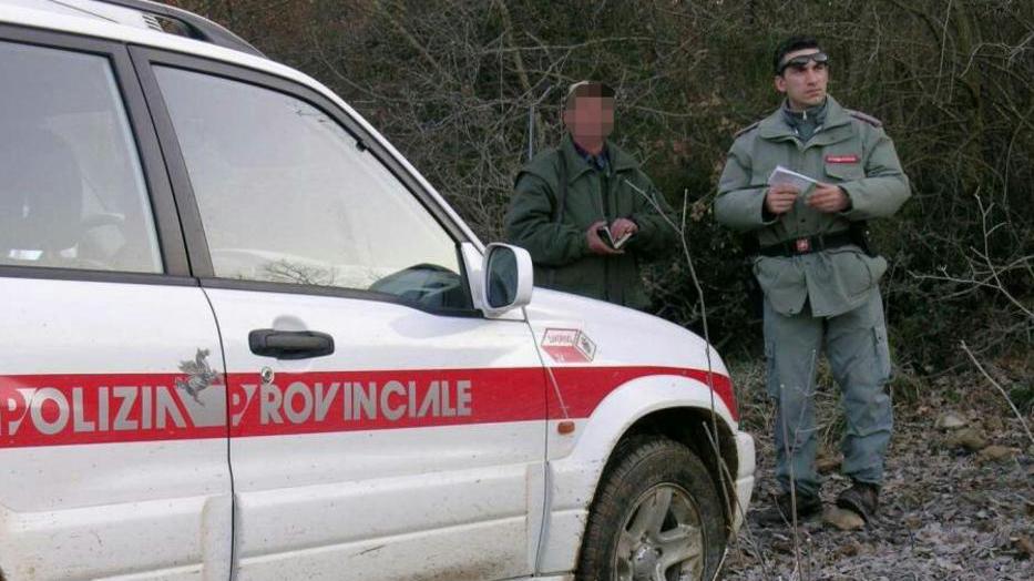 La provinciale rintraccia e multa il killer del daino
