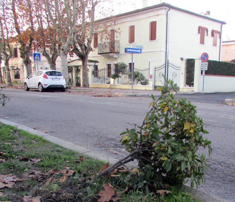 «Mamma era davvero speciale» 
