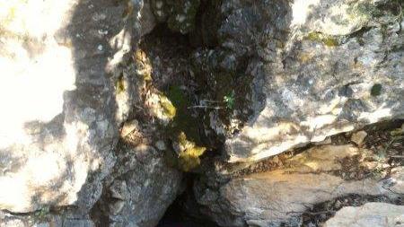 La grotta dove erano stati trovati i resti di Olianas
