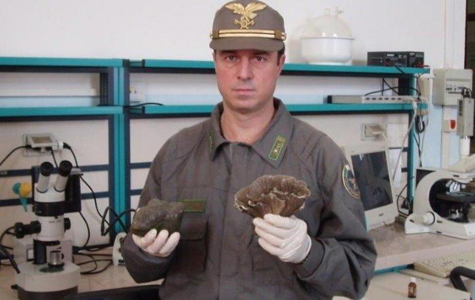 I pesci sequestrati “rifugiati” alla Certosa