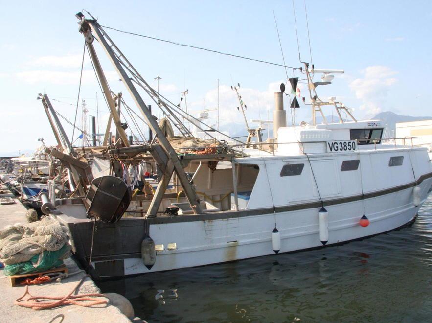 «Gestione della pesca: piano abbandonato» 