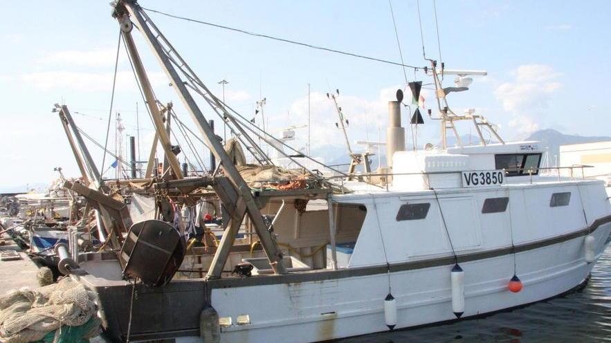 «Gestione della pesca: piano abbandonato»