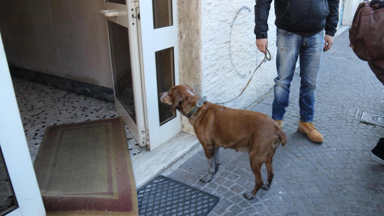 Il cane salvato dall'incendio (Repetti/Pentafoto)