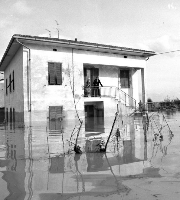 Industria e agricoltura in ginocchio, acqua e fango le imprigionano