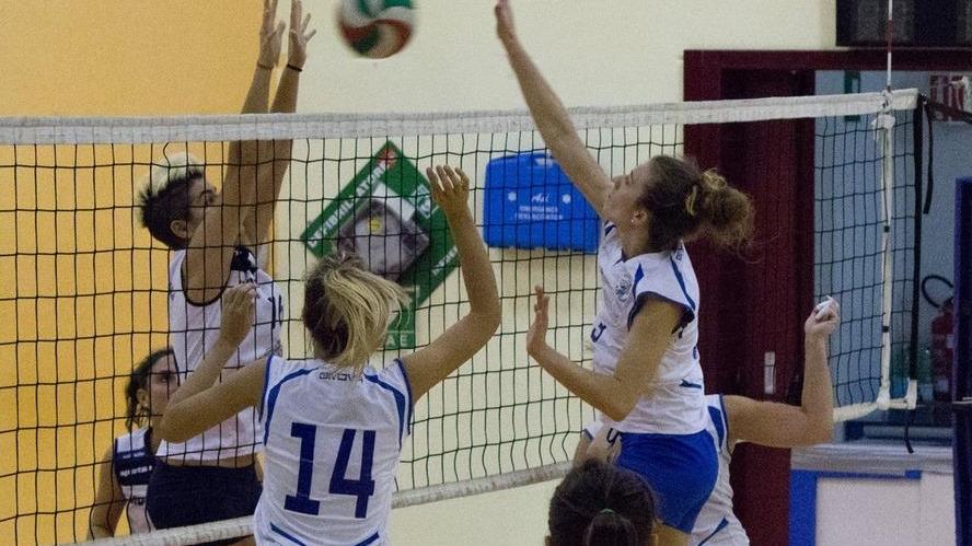 Poli& Taddei batte anche i Vf Grosseto