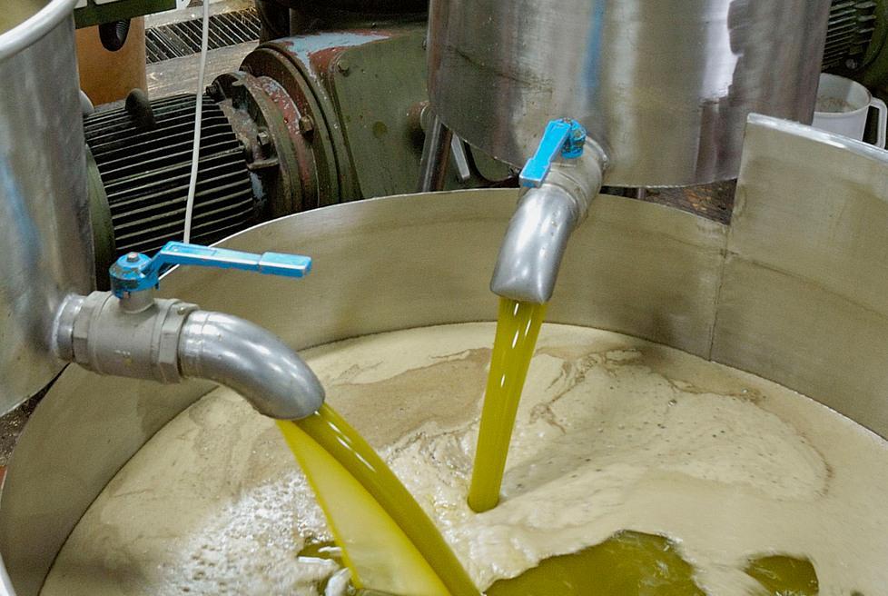 Panel test sull’olio alla Coop.fi con gli studenti