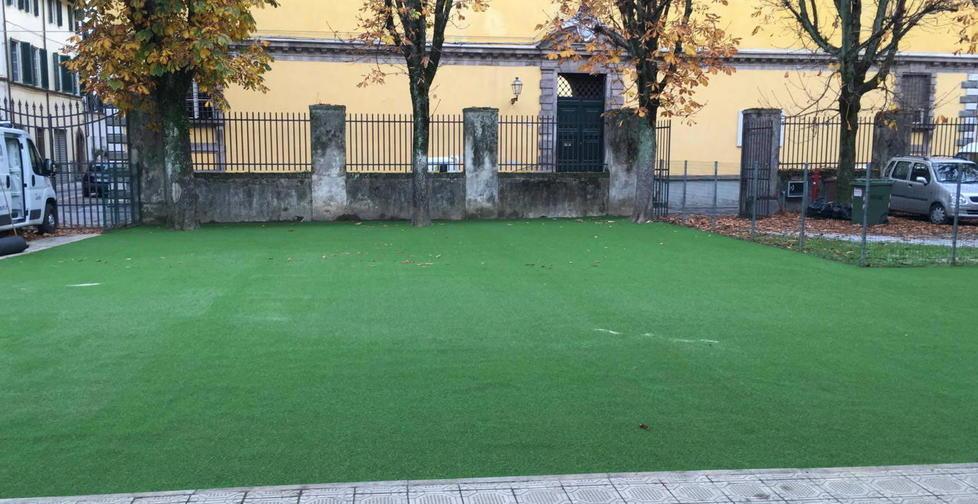 Erba (sempre)verde alla scuola Pascoli 