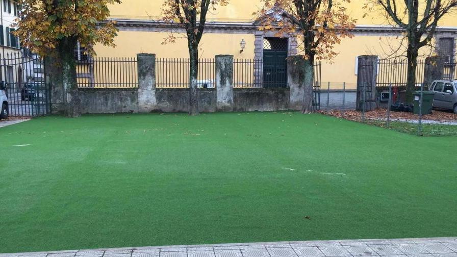 Erba (sempre)verde alla scuola Pascoli