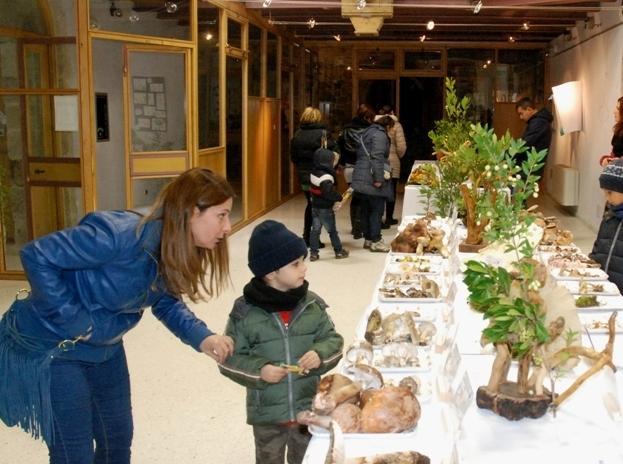 Una tre giorni alla scoperta dei funghi 