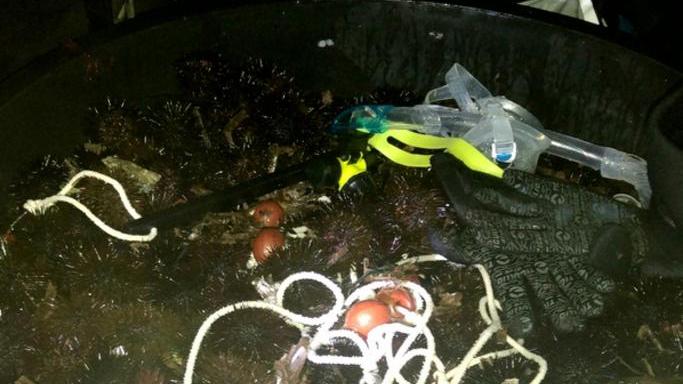 A pesca di ricci nell’Area Marina protetta