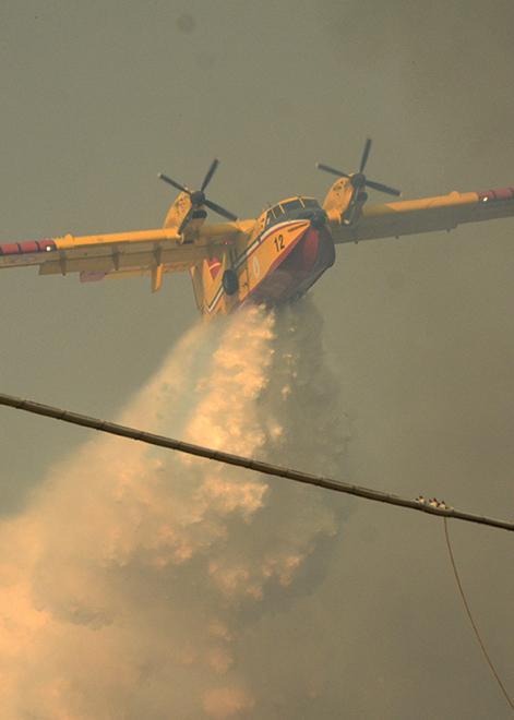 L’Auser ringrazia i cittadini per la campagna antincendio 
