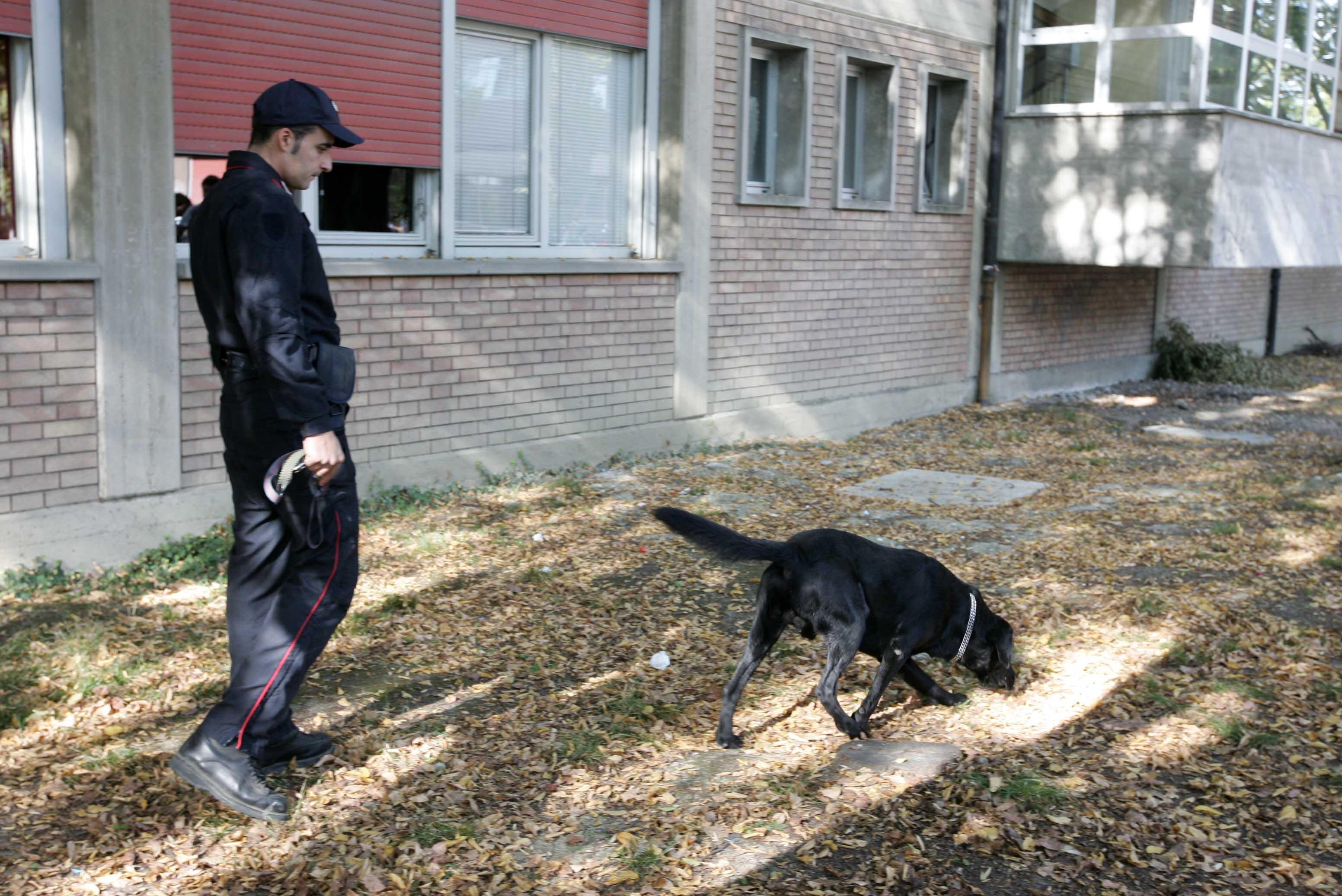 Reggio Emilia, hascisc e marijuana nelle classi reggiane
