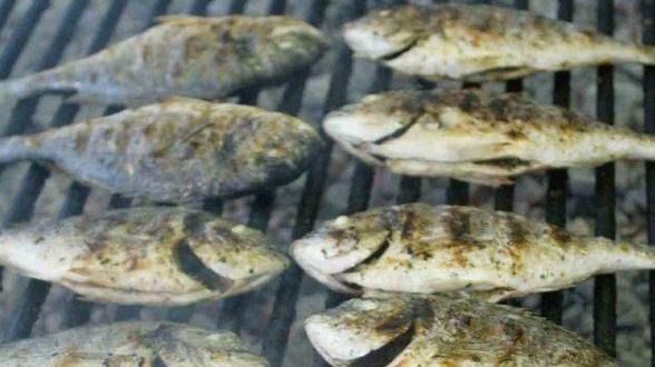 Festa del pesce al circolo Manzoni