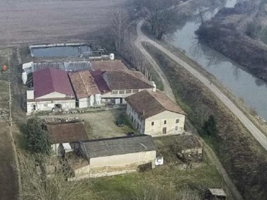 Bocciata la “speculazione” dei 2820 maiali 
