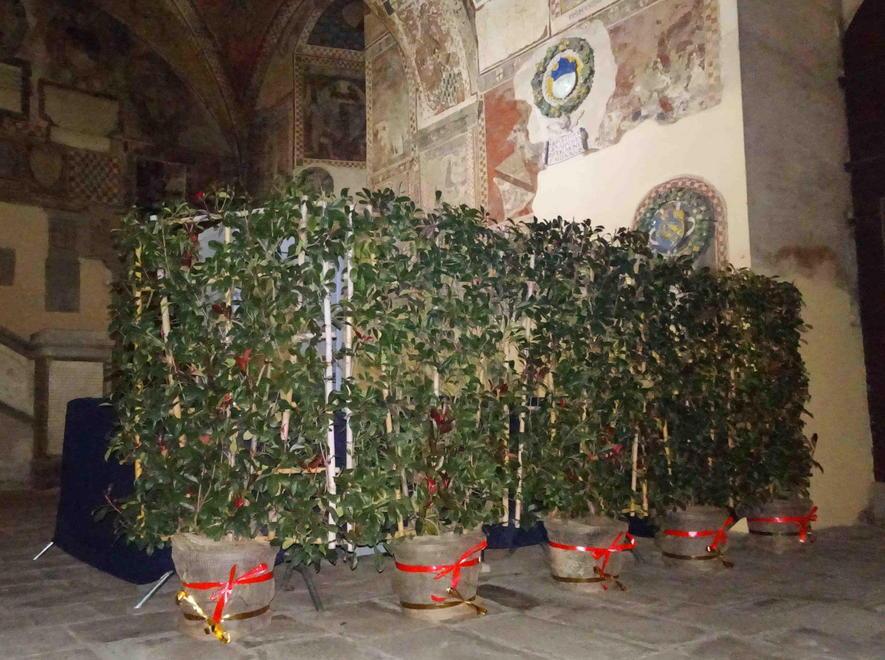 L’apparecchio nascosto con il verde 