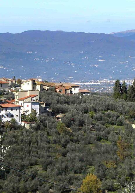  Un Montalbano bio per rilanciare prodotti e turismo 