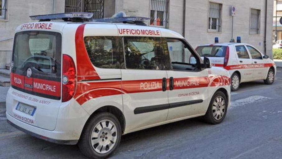 Esche killer dei cani trovata in pineta una spugna fritta