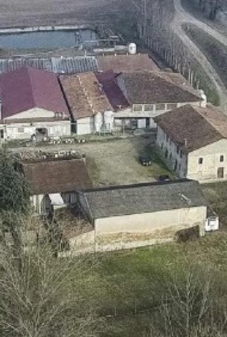 Soddisfazione a Scortichino, bocciata la maxi porcilaia 