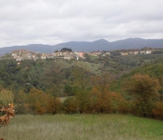 Antenna della discordia Ottanta contro il sindaco 