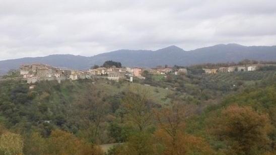 Antenna della discordia Ottanta contro il sindaco