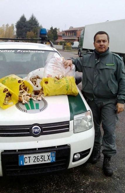 Conto salato ai cercatori di funghi 