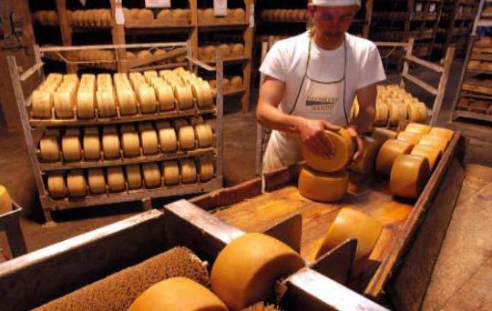 Sardegna contro Lazio, la secessione del Pecorino 