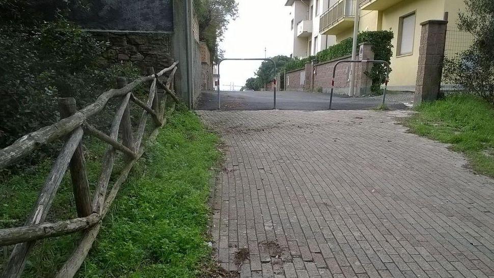 Rientrato l’allarme esche killer in pineta
