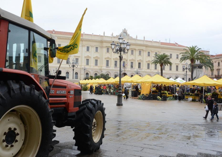 Coldiretti: il comparto in allarme 