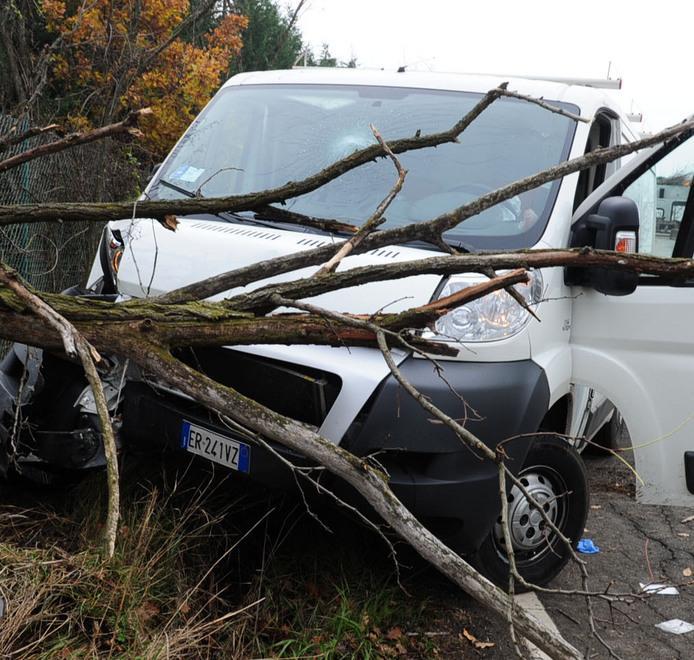 Furgone centra albero: padre e figlio feriti