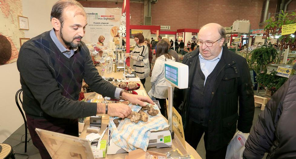 Curiosa, la fiera delle sorprese 
