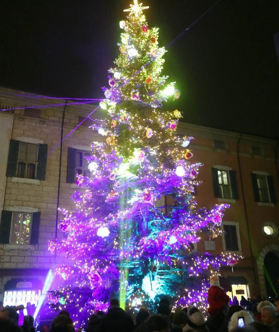 L’albero di Natale raccoglie consensi 